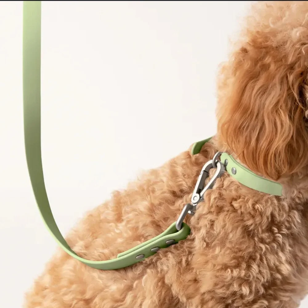 Diggs 6 Ft Green Dog Leash